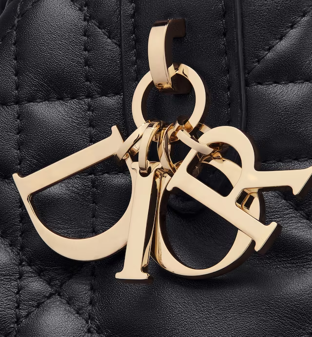 SMALL DIOR TOUJOURS BAG